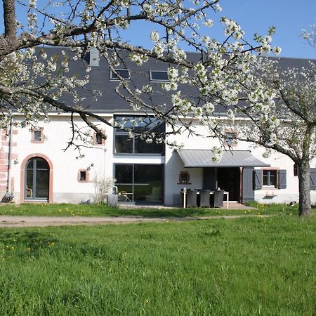 La Colline Du Baa - Maison D'Hotes D'Exception Lapoutroie Exterior photo